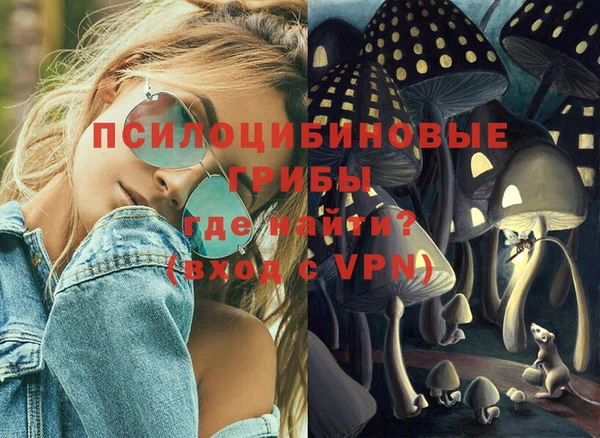 бошки Алзамай
