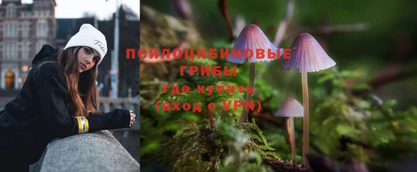 бошки Алзамай
