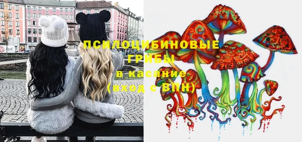 бошки Алзамай
