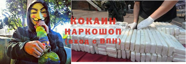бошки Алзамай