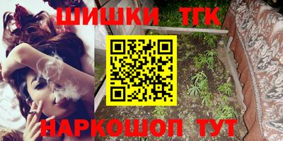 шишки Кимры