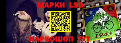 шишки Кимры
