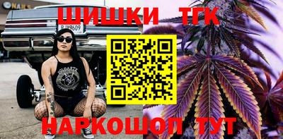 Альфа ПВП Кингисепп