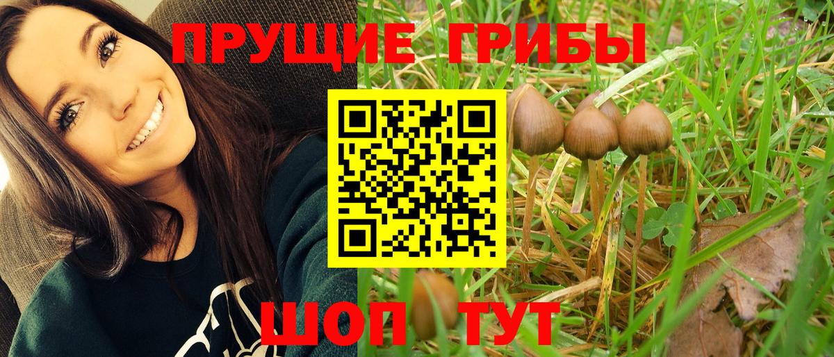 Галлюциногенные грибы MAGIC MUSHROOMS Санкт-Петербург
