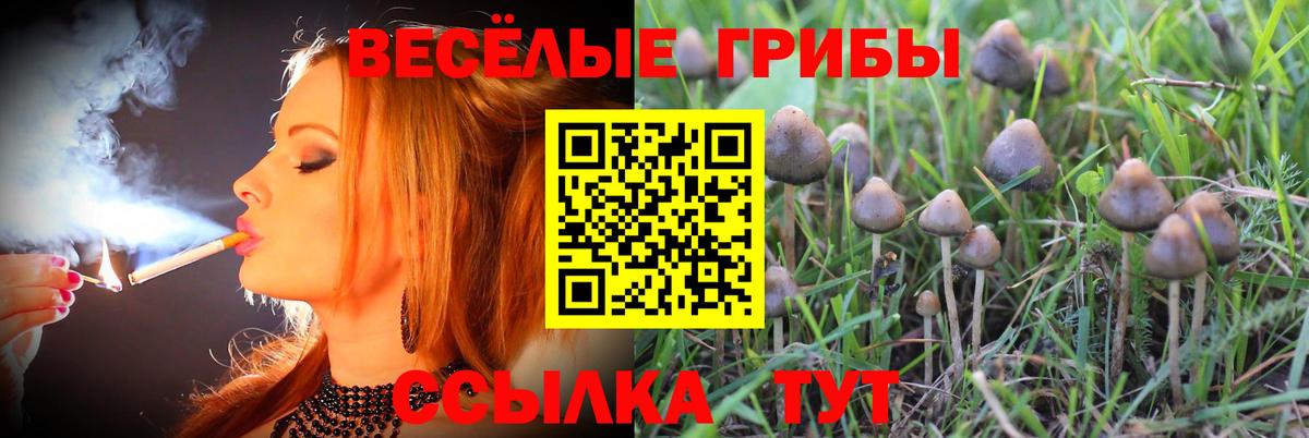Санкт-Петербург  Галлюциногенные грибы Cubensis  Вход с VPN  Галлюциногенные грибы Magic Shrooms 